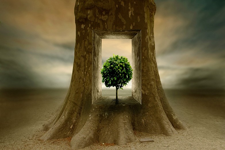 99px_ru_photo_146630_molodoe_derevo_viroslo_v_prorezannom_otverstii_vekovogo_dereva.jpg.23fe2231112aa618d9111b5421611a35.jpg