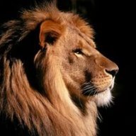 TheLion