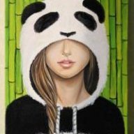 Panda2