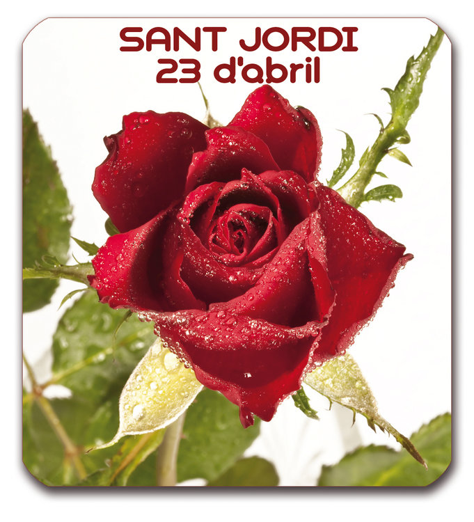 1215089068_santjordi.thumb.jpg.a87a0e8059101d3ca240a7ded6b18947.jpg