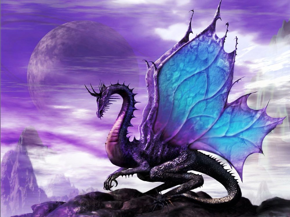 PurpleDragon2.thumb.jpg.5825b6c7a8cd5ba3788315d91eaede7d.jpg