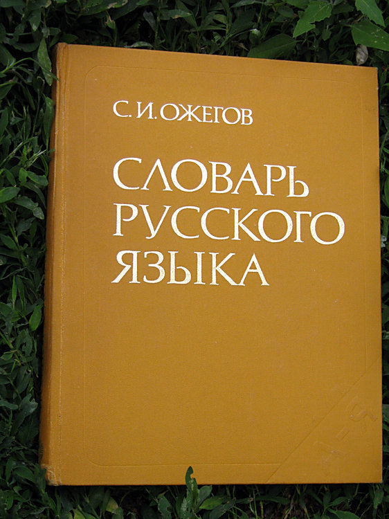Russian_dictionary.thumb.jpg.71ce69c1b25a19f5d696c6db53031600.jpg
