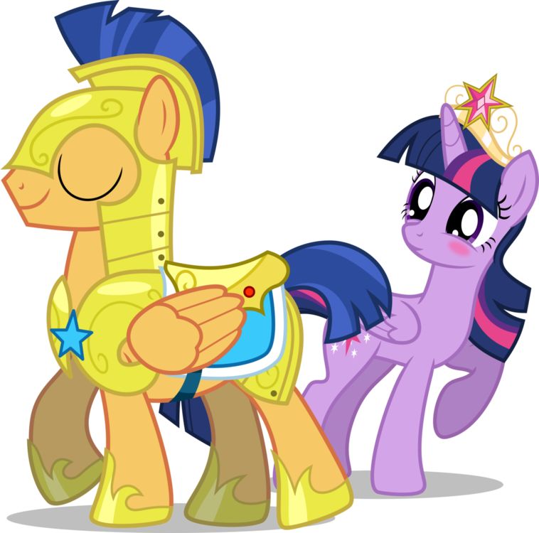 flash_sentry_and_princess_twilight_sparkle_by_chainchomp2-d6f8ap7.thumb.png.bc1a332d734806d1284041fb981ad6fa.png