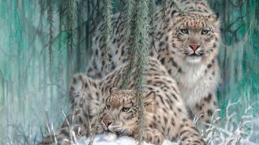 snow-leopards.thumb.jpg.3a62a6d620717bb6b43d4d5b93746e51.jpg