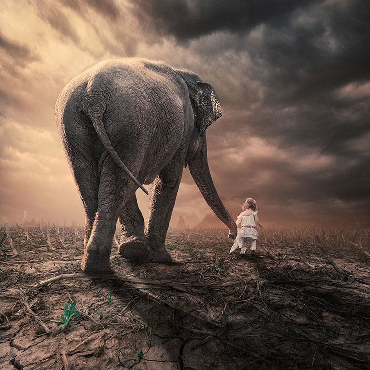 surreal-photo-manipulations-caras-ionut-13.thumb.jpg.25c88e4b0e179432a6e0ae54eadf90eb.jpg