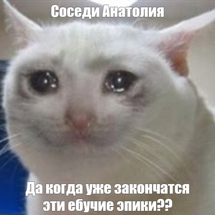 СОСЕДИ.jpg