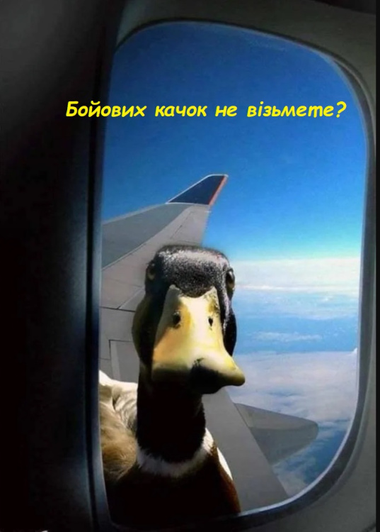 Screenshot_2 — копия.jpg