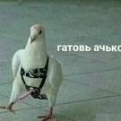 Каловорот