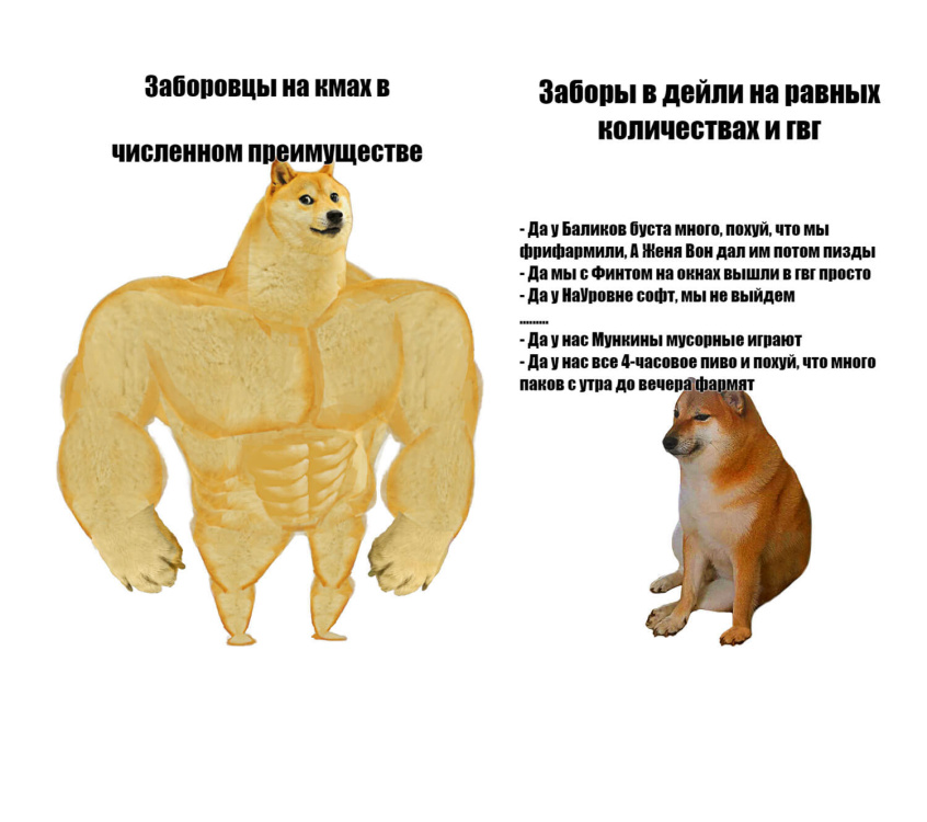 perro-fortachon-musculoso-perro-sentado01590647720 (1).jpg