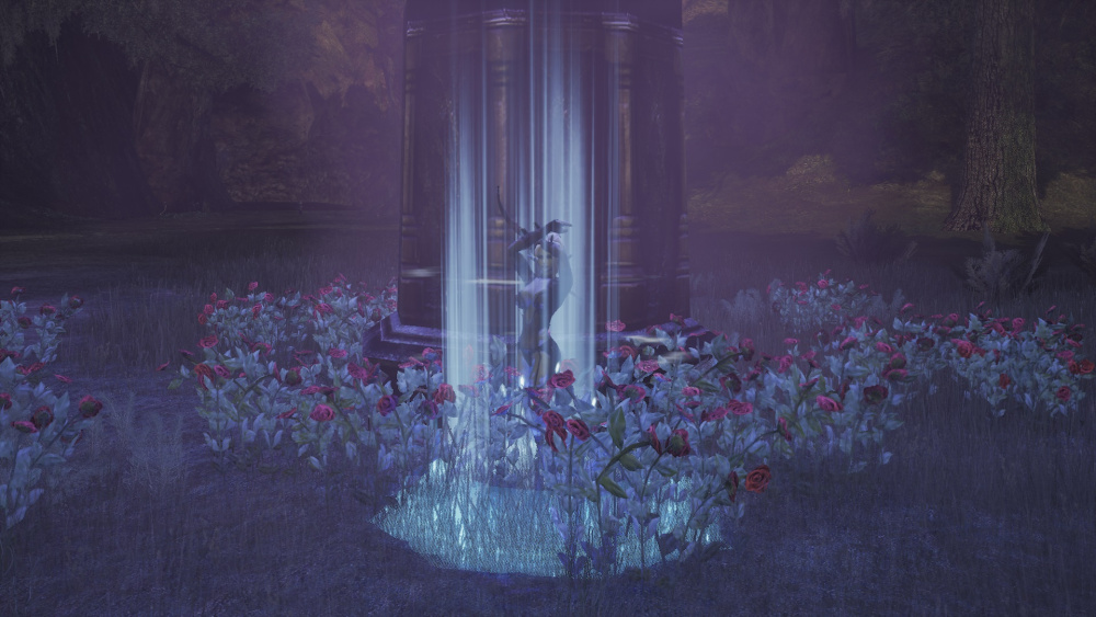 6 — копия.jpg