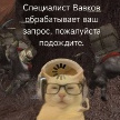 Wawkov