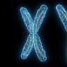 TheoryOfHeredity