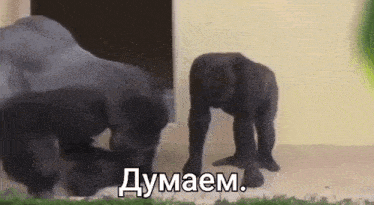 image.gif.1c2981c725f343f9dcb5aab06a2b80e0.gif