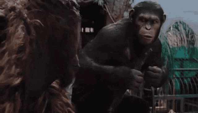 image.gif.1d12c81f13fd3821e13910382abc485b.gif