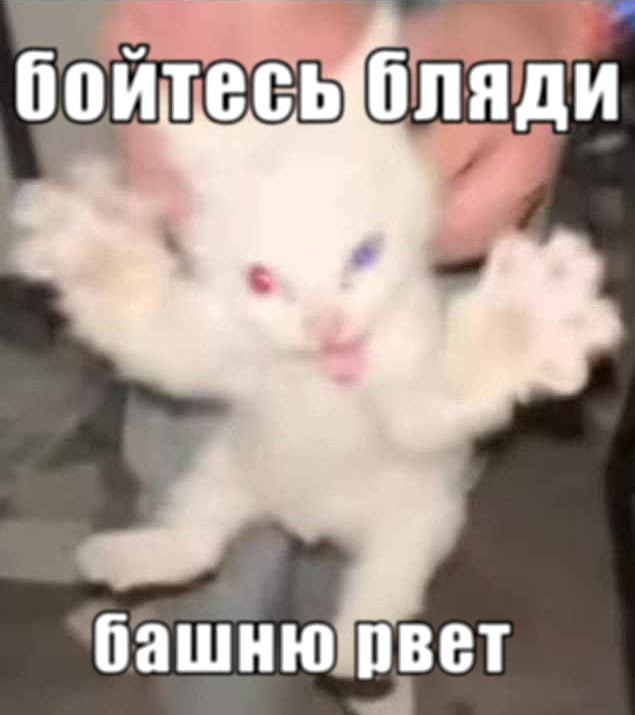 image.png.1d381eb2580319948640fc33f03e6f47.png