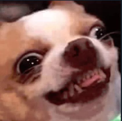 image.png.5f2b4d2ad8133ec0c3ee04e60442d564.png